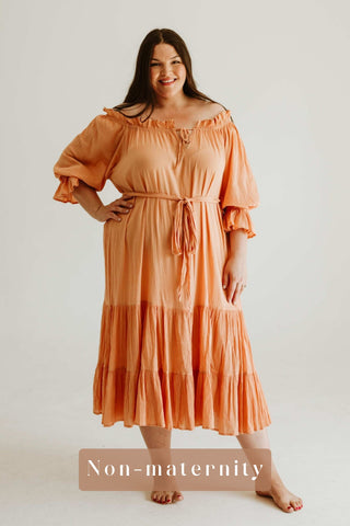 Plus size dress hire for photoshoots