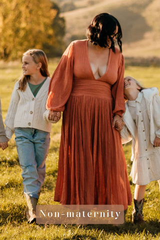 Plunging Neckline with High Side Splits Ivory Family Photoshoot Dress Hire - Jen's Pirate Booty Lapis Dress - Rust