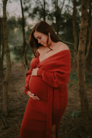 Petal and Pup Bambina Knit Midi Dress - Rust - Maternity Dress Hire - Bodycon Maternity Dress Hire - Body Hugging Dress Australia