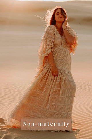Chic and Comfortable Fit Maternity Dress Hire - Reclamation Gowns Rental: We Are Reclamation Wonderment and Awe Gown - Sheer Chiffon Family Photoshoot Dress Hire