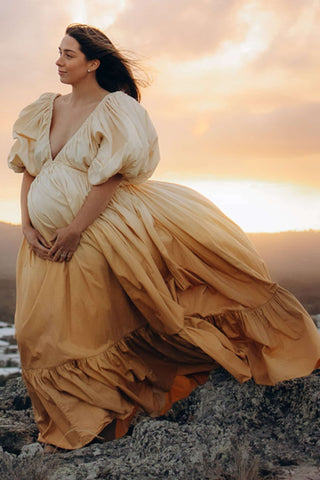 Rooh Collective Birthday Gown - Sun Ombre: Maternity Dress Hire - Maternity Black Tie Gown