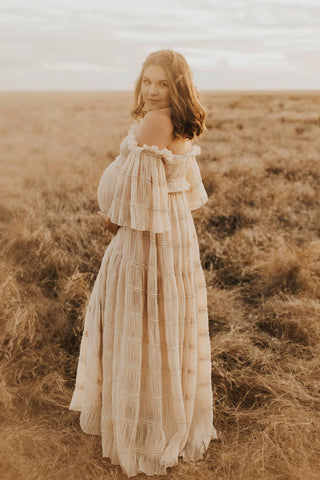 Family Photoshoot Gown Australia - We Are Reclamation Chiffon Delight Gown - Beige