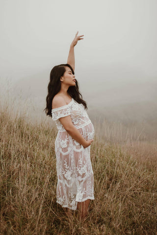 Lace Maternity Dress Hire for Photoshoot - Coven & Co Raven Cold Shoulder Dress - Sheer Lace Off Shoulder Dress
