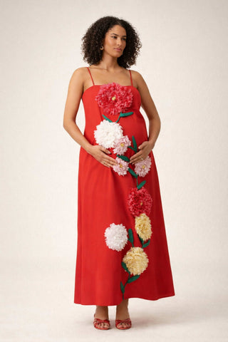 A pregnant lady wearing the Elliatt Buttercup Embroidered Maxi Dress in a studio set up photoshoot.