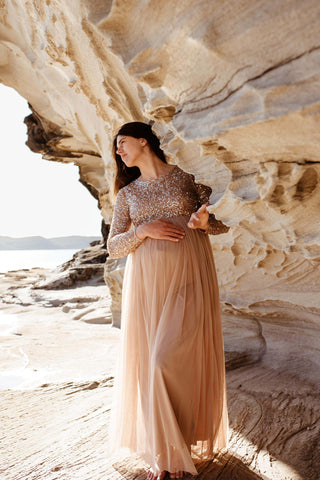 Maya Maternity Long Sleeve Tulle Maxi With Sequins: Sequin and Tulle Maternity Dress Hire for Photoshoots