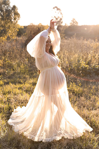 We Are Reclamation Wish For It Gown: Chiffon See-Through Maternity Dress Hire