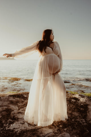 Sheer Chiffon Maternity Dress Hire - We Are Reclamation Wish For It Gown